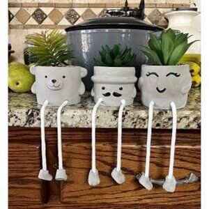 New artificial fake funny succulents in pots - small office desk decor